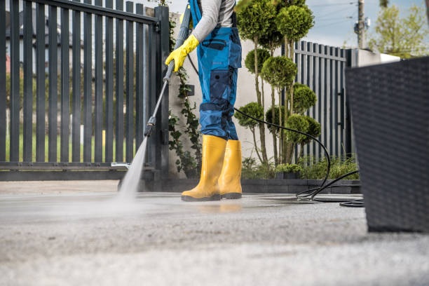 Best Pressure Washing Company Near Me  in Berkley, MI